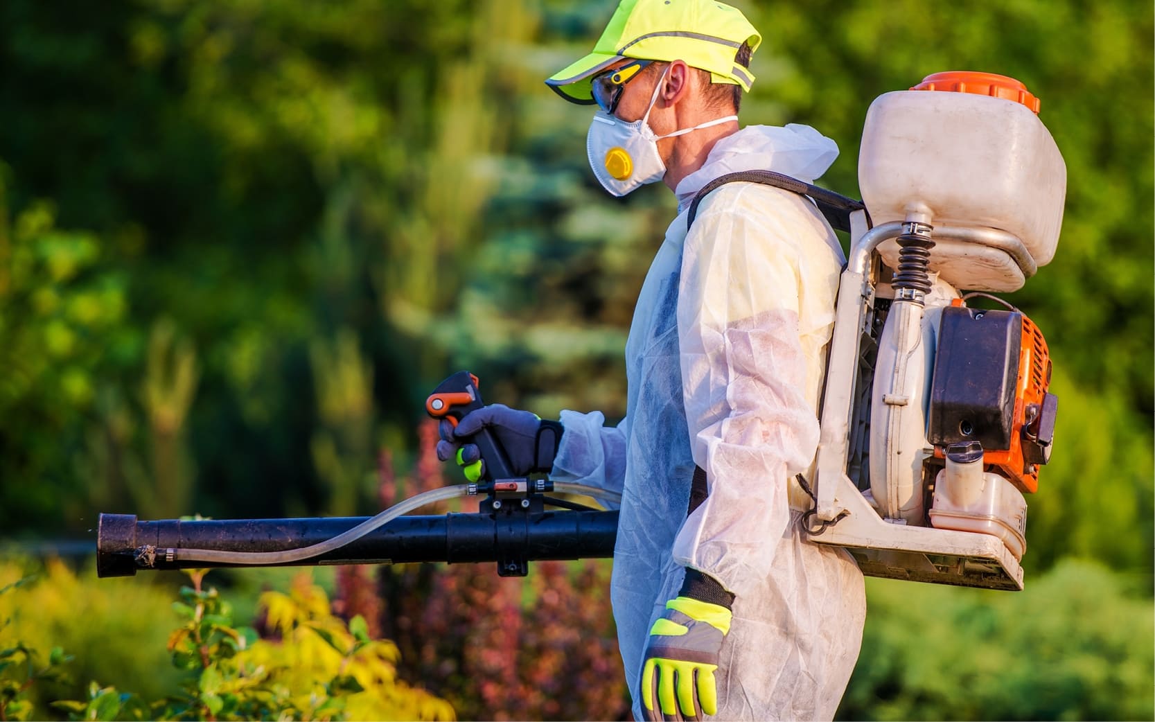 Most Effective Home Pest Control at Sally Goodrich blog