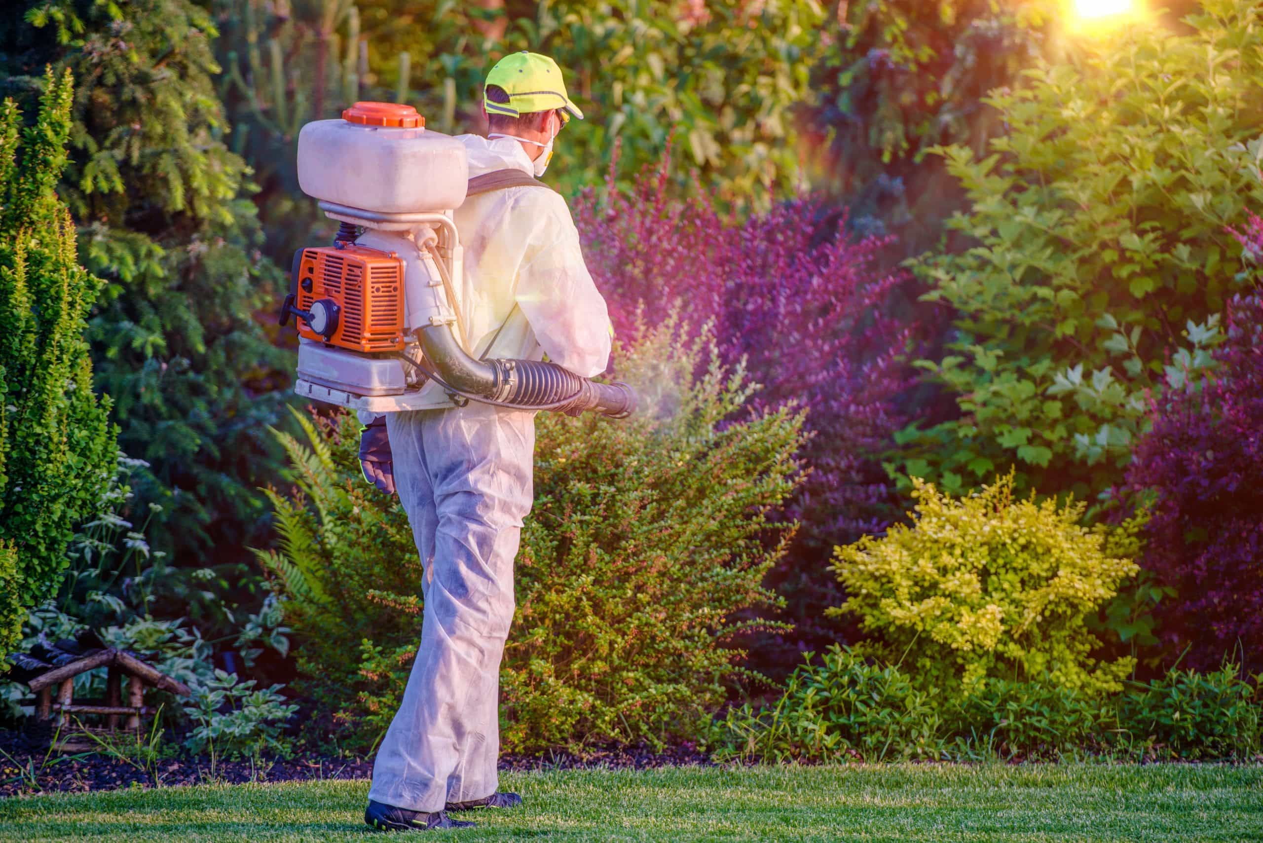 Mosquito Backpack Fogging - McGrath Pest Control