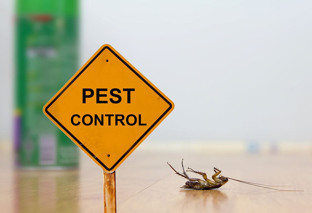 Pest Control Service In Draper Ut